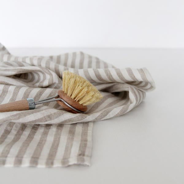 Dish Brush