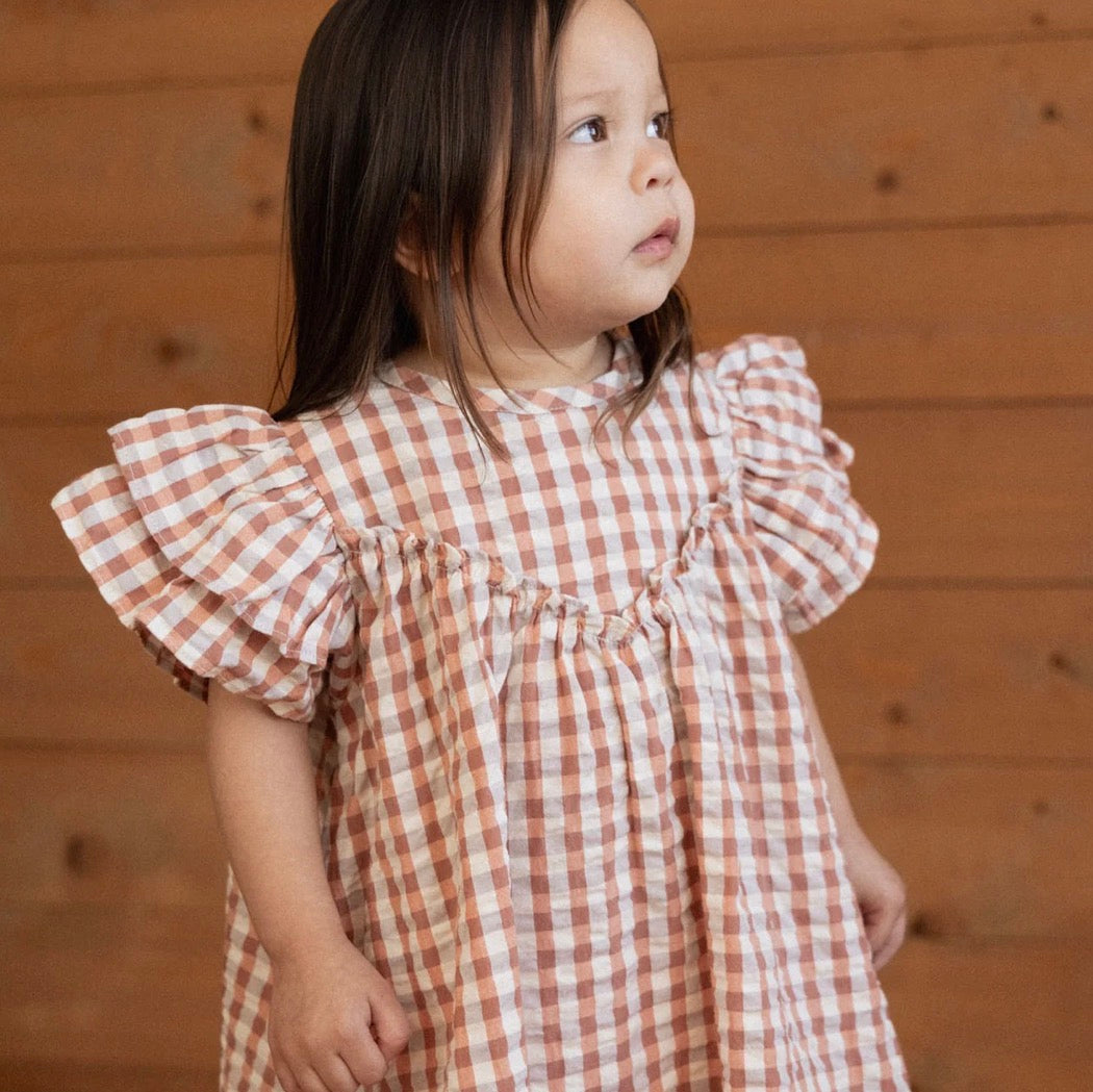 Una Dress Dandelion Gingham