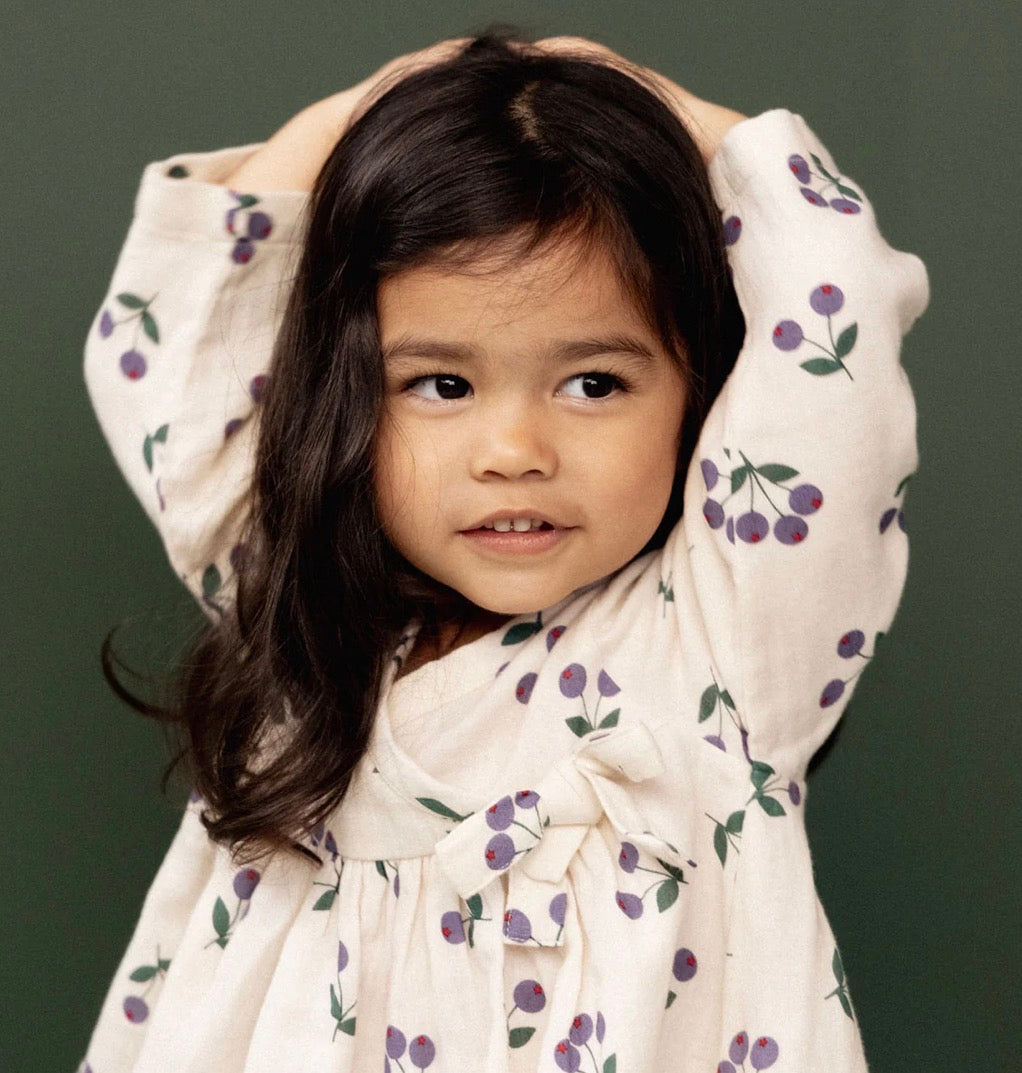 SALE was $74.95 - Mabel Dress / Winter Berry Natural Print - Naturebaby