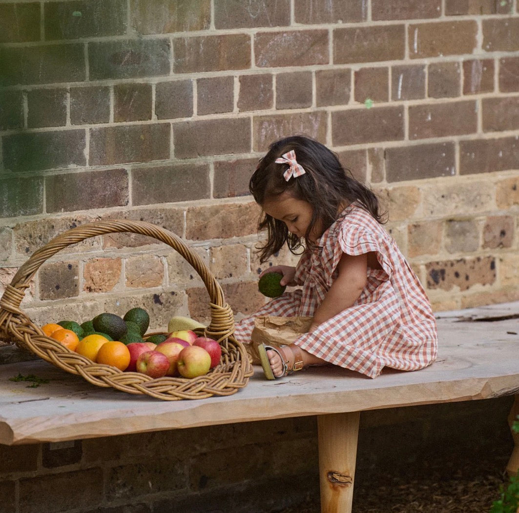 Una Dress Dandelion Gingham