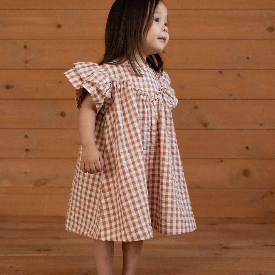 Una Dress Dandelion Gingham