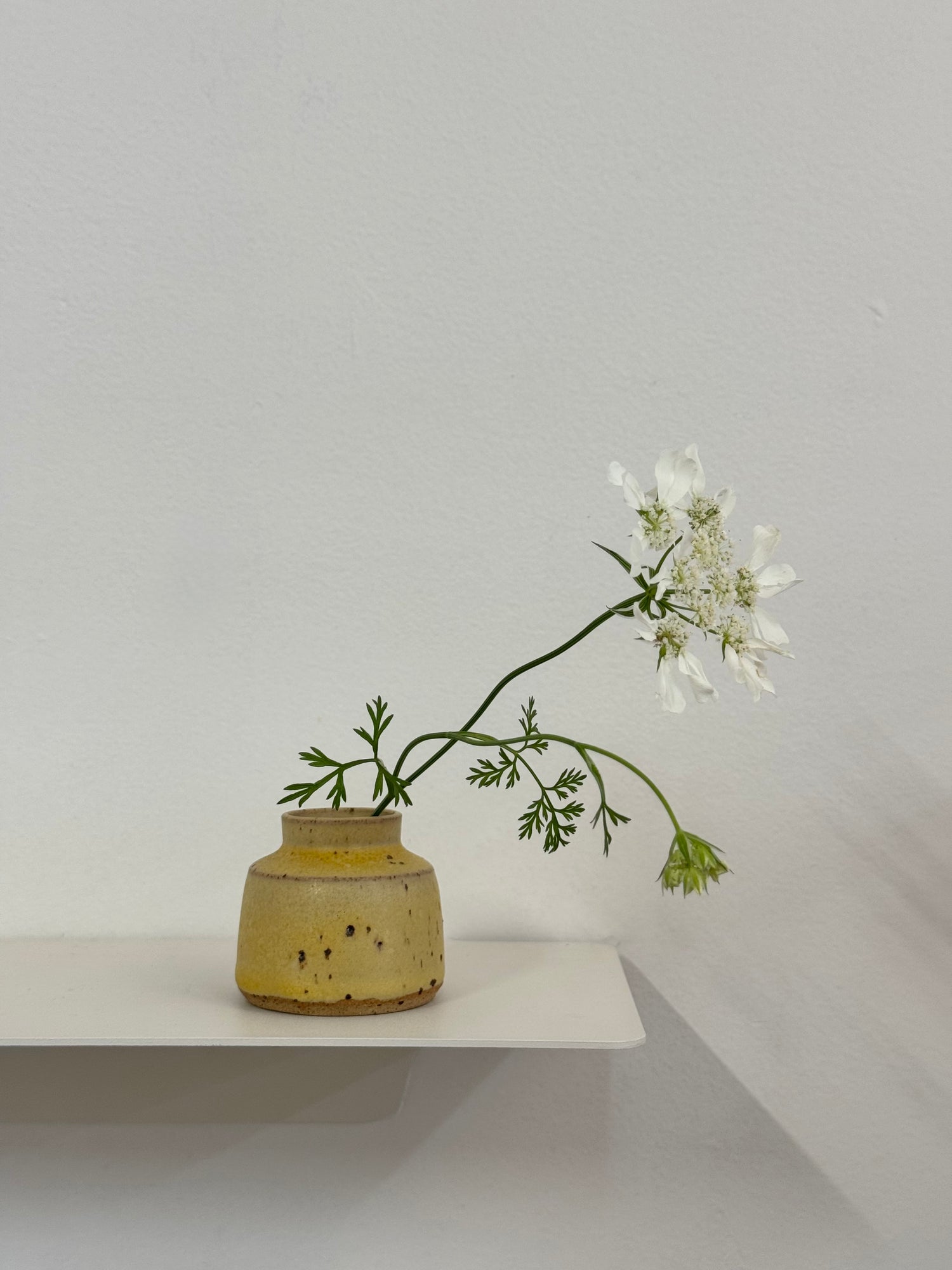 Ceramics