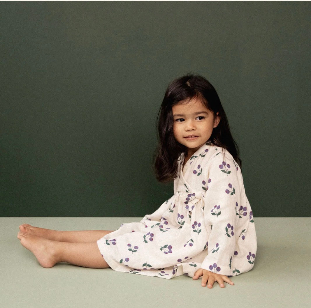 SALE was $74.95 - Mabel Dress / Winter Berry Natural Print - Naturebaby