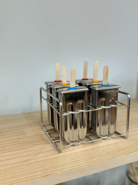 Stainless Steel Ice Block / Ice Cream Moulds (x6) with Rack