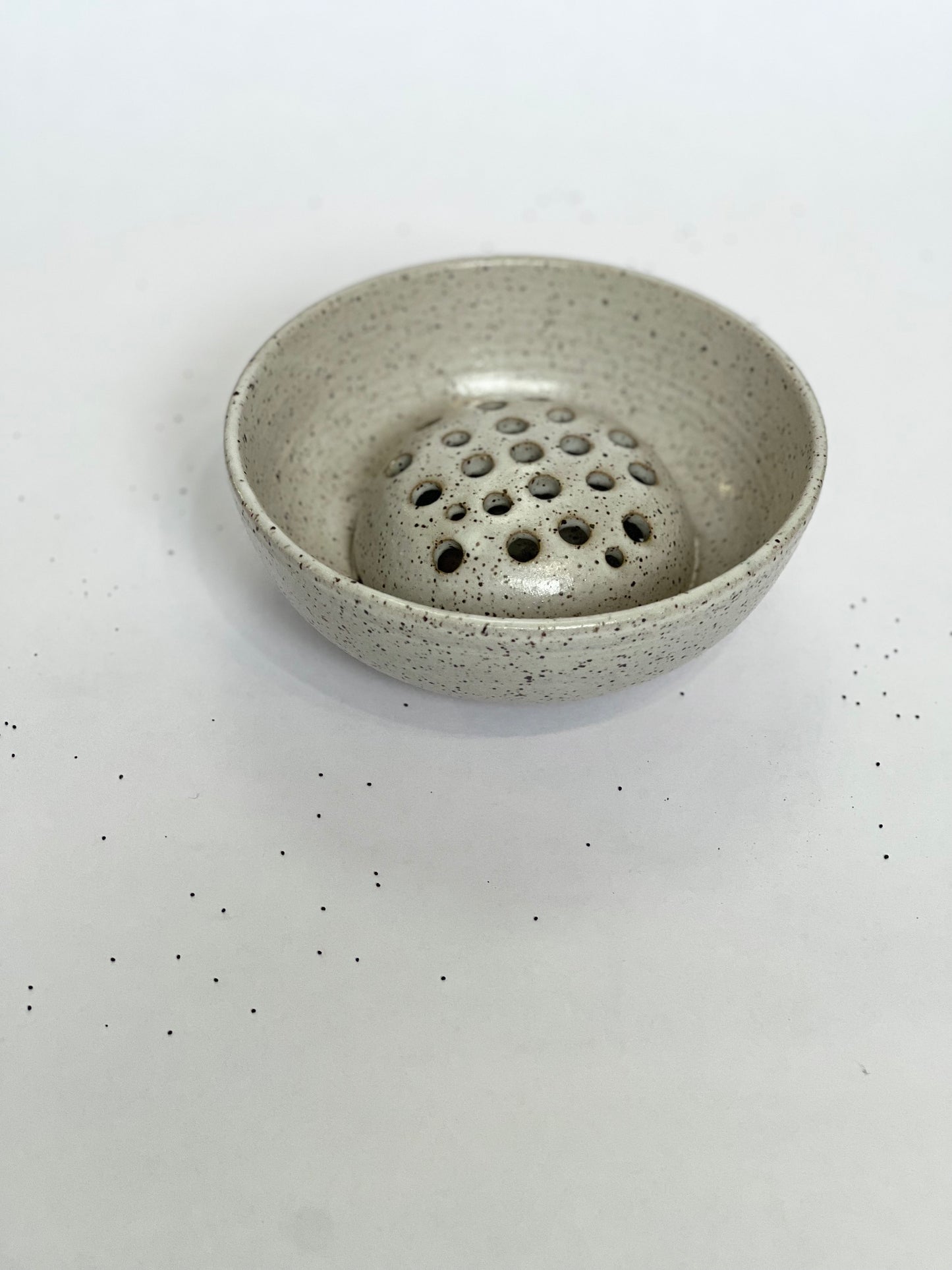 Forage Bowl / Speckled